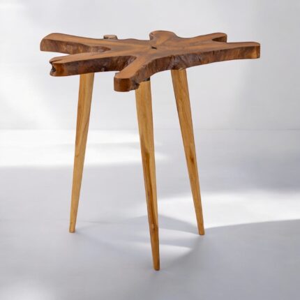 TABLE BASE EN RACINE DE TEAK