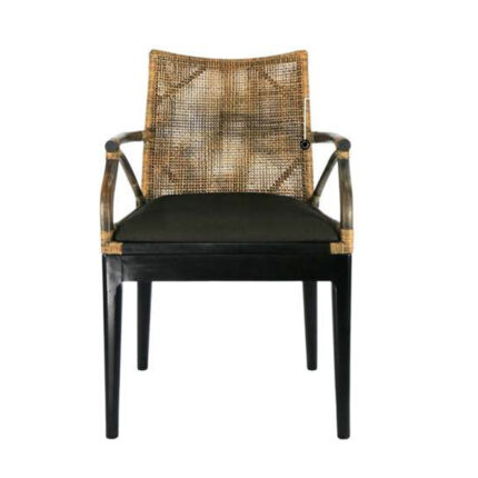 Sinear Armchair